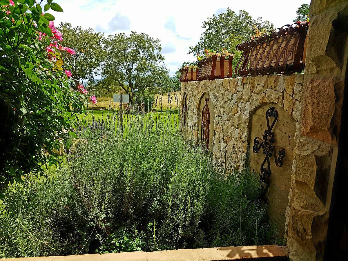 הוילה פורייסבורג Affi Lande Boetiek Guestfarm מראה חיצוני תמונה